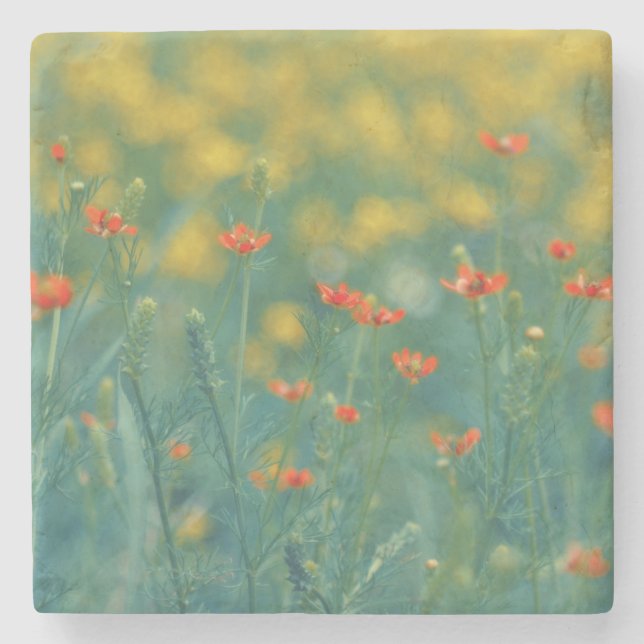 Sommarblommor (blomsterfält) (röda blommor) stenunderlägg (Framsidan)