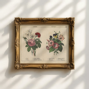 Sommarblommor Charlotte Mary Yonge Poster
