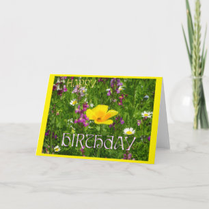 Sommarblommor, Cust. Grattis på födelsedagen-hälsn Kort
