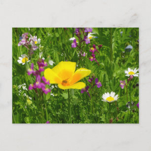 Sommarblommor DIY-vykort Vykort