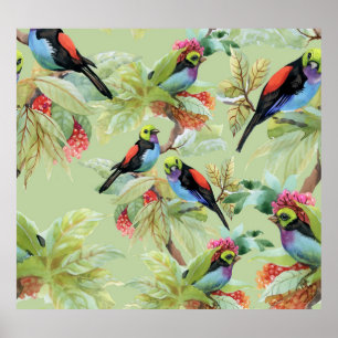 Sommarblommor Fåglar: Tropical Mönster Poster