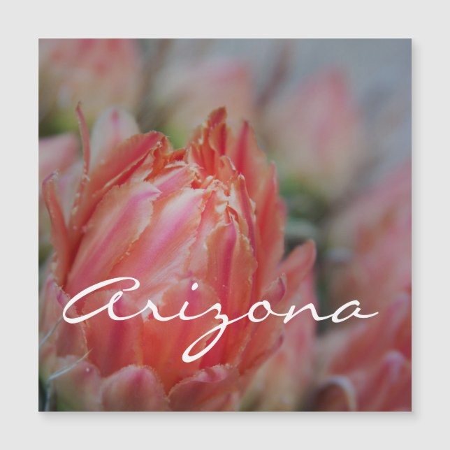 Sommarblommor från Arizona (Framsida)