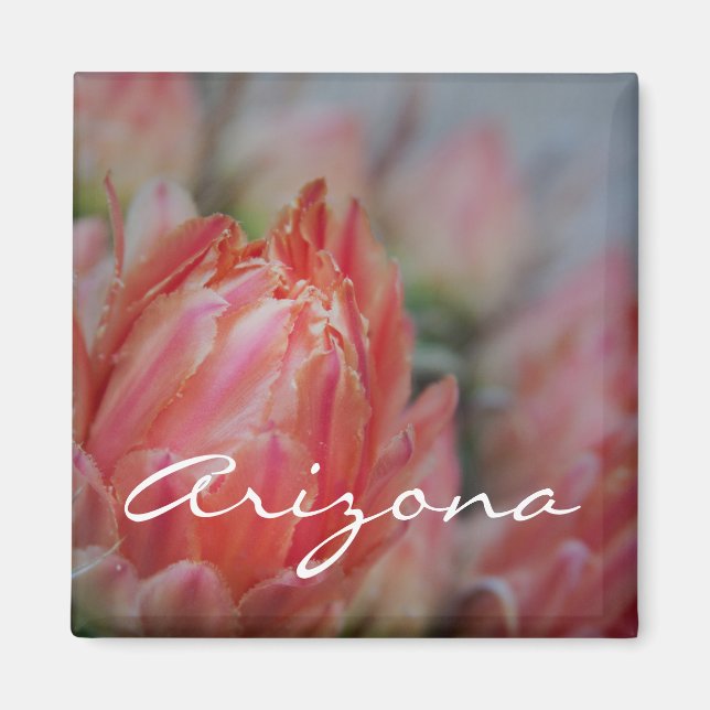 Sommarblommor från Arizona Magnet (Framsidan)