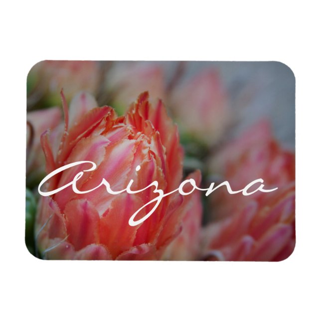 Sommarblommor från Arizona Magnet (Horisontell)