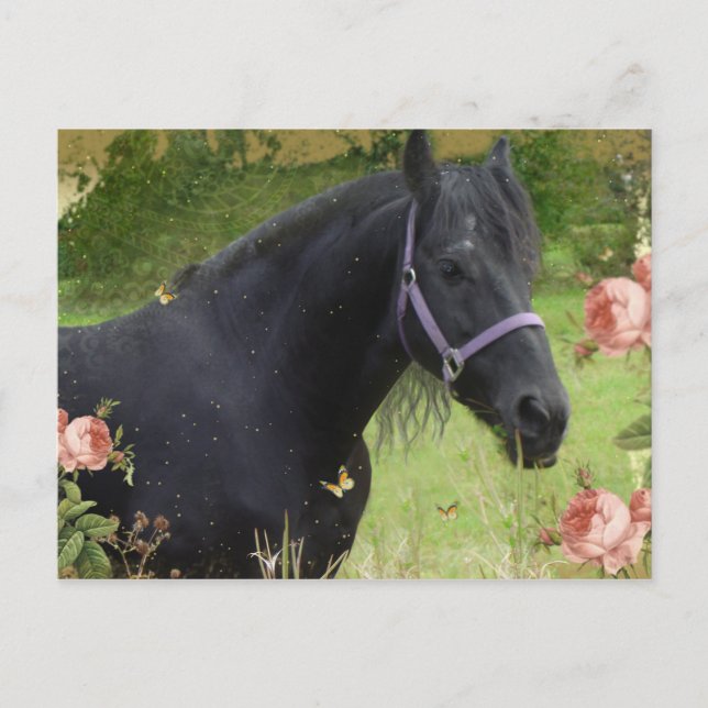 Sommarblommor Helg Vykort (Framsida)