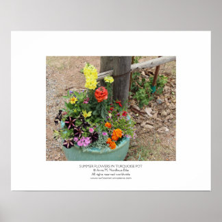 Sommarblommor i Turcoise Pot Poster