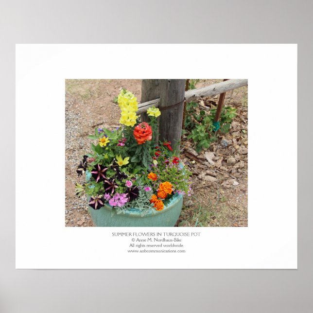 Sommarblommor i Turcoise Pot Poster (Framsidan)