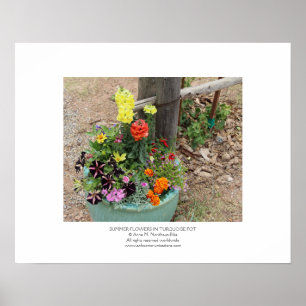 Sommarblommor i turkoskruka poster