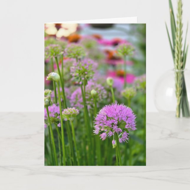 Sommarblommor Kort (Framsida)