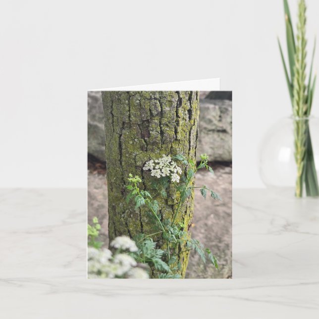 Sommarblommor Kort (Framsida)