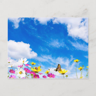 Sommarblommor och himmel vykort