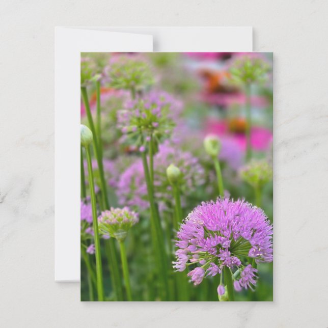 Sommarblommor OSA Kort (Framsida)