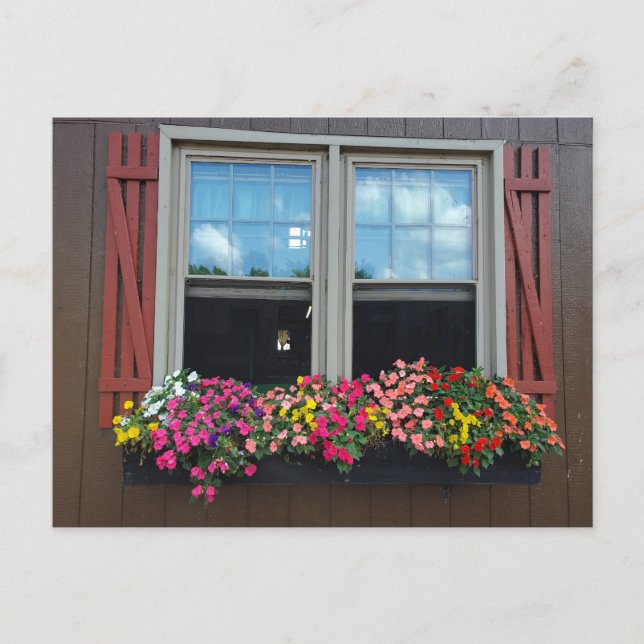 Sommarblommor Vykort (Framsida)