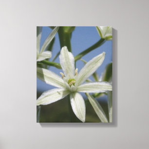 Sommarblommor Wrapped Canvas