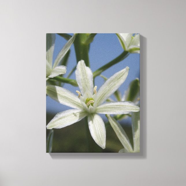 Sommarblommor Wrapped Canvas (Framsida)