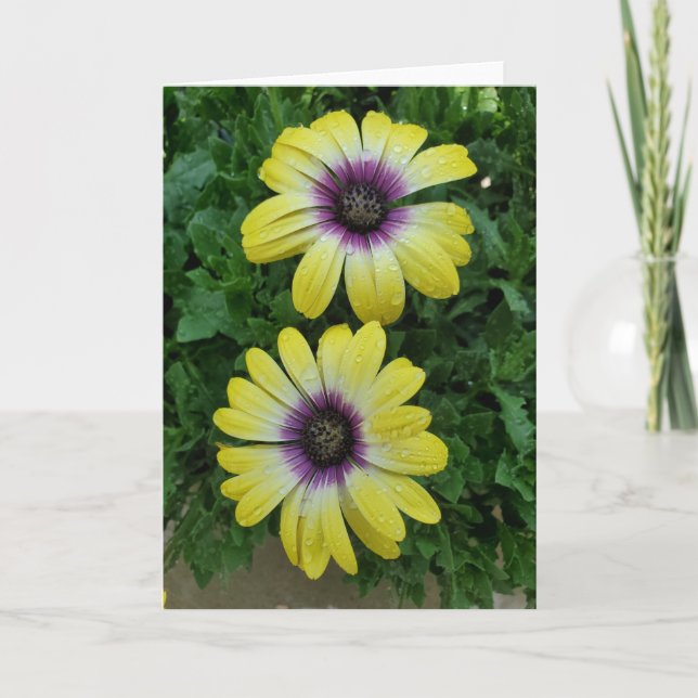 Sommarblomsterkort Kort (Framsida)
