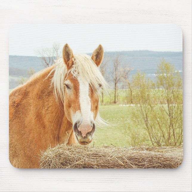 Sommarbris Palomino Farm Horse  Musmatta (Framsidan)