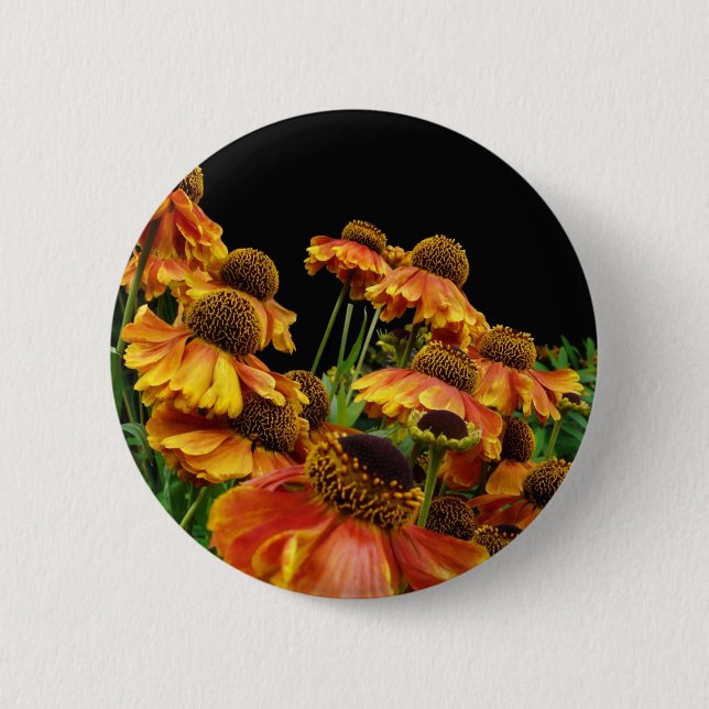 Sommarbristningen knäppas knapp (Framsida)