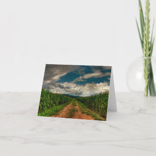 SommarCornfield tomma Notecard Kort