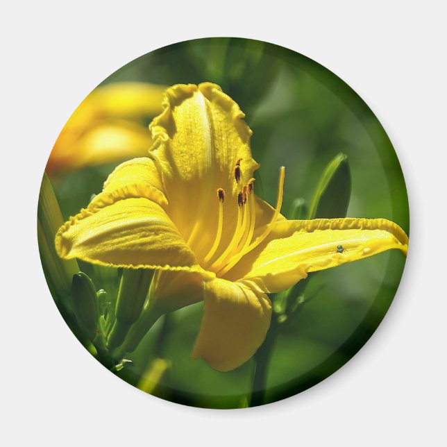 Sommardag Magnet (Framsidan)