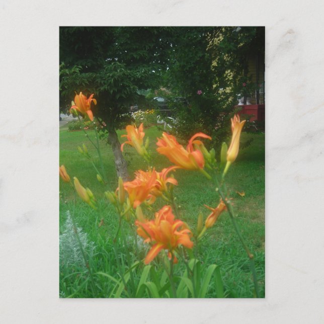 sommardag vykort (Framsida)