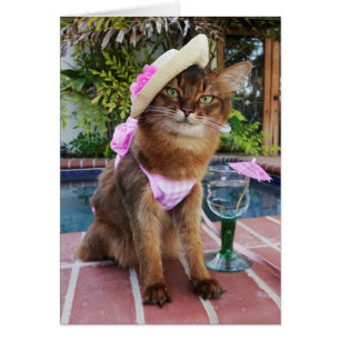 Sommardagar som presenterar sommar katten hälsningskort