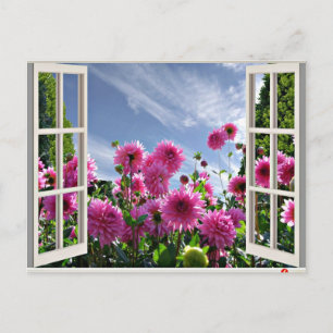 Sommardagen, Dahlias i Bloom Vykort