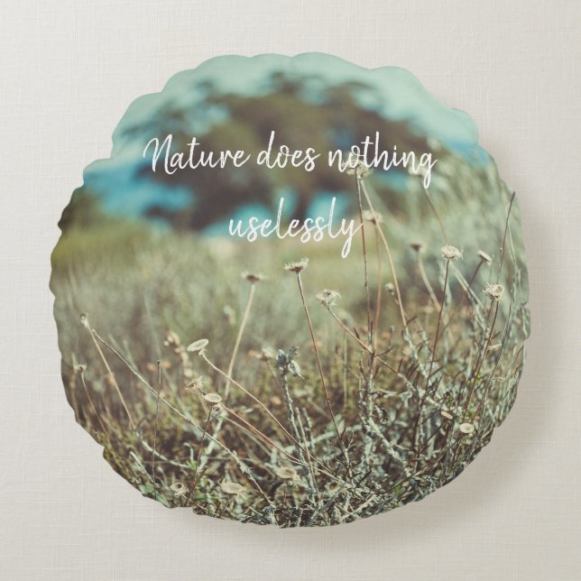 Sommardagen i Kusten Rund Kudde (Framsidan)