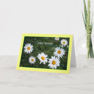 Sommardagskort för Daisy Kort