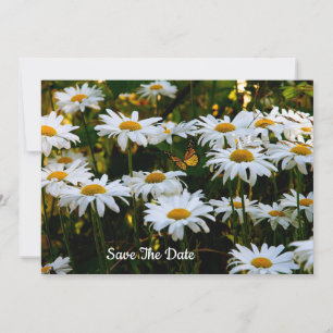 SommarDaisy Spara datuminbjudan Inbjudningar