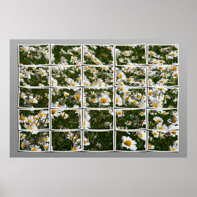 Sommaren 2006 poster (Framsidan)