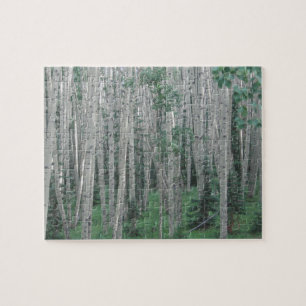 Sommaren Aspen Träd - 8 x 10 - 110 pcs Jigszle Puz Pussel
