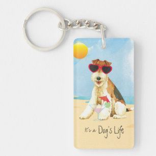 Sommaren binder foxterrier