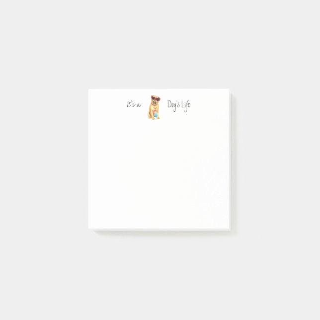 Sommaren Bryssel Griffon Post-it Block (Framsida)