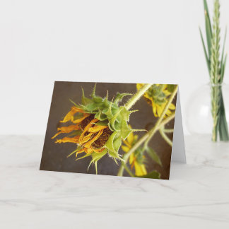 Sommaren cyklar det tomma hälsningkortet kort