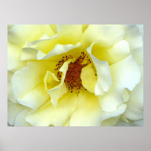 Sommaren förra Ro Poster (Framsidan)