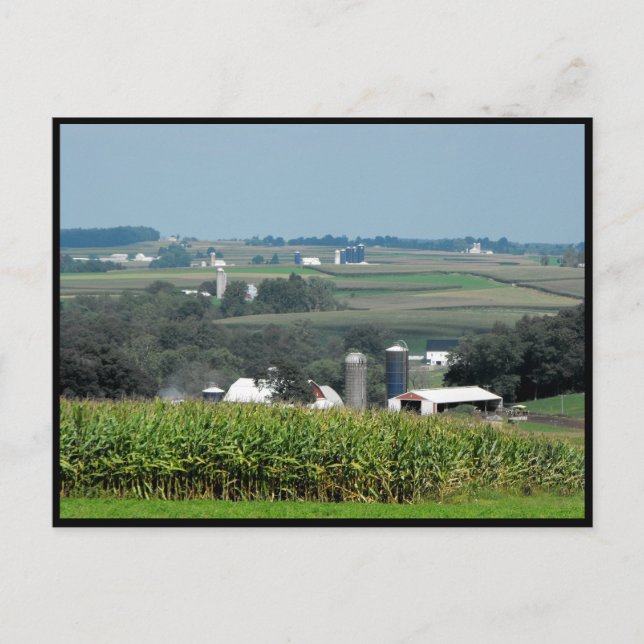 ~ Sommaren i Lancaster County ~ 62 Vykort (Framsida)