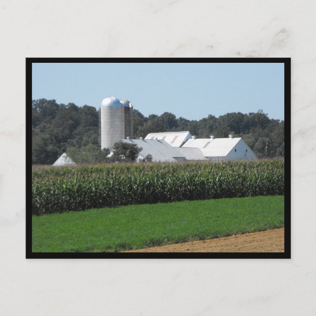 ~ Sommaren i Lancaster County ~ 70 Vykort (Framsida)