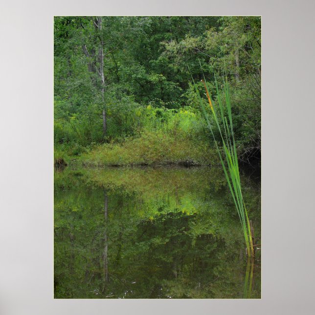 Sommaren i Pond Poster (Framsidan)