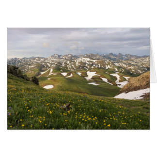 Sommaren i San Juans Hälsningskort