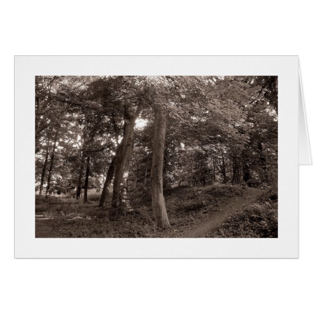 Sommaren i Skogen - Varmtad Hälsningskort (Framsidan Horizontal)