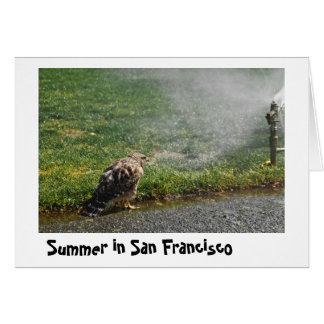 Sommaren i staden hälsningskort