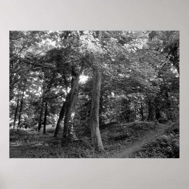 Sommaren i Wood Poster (Framsidan)