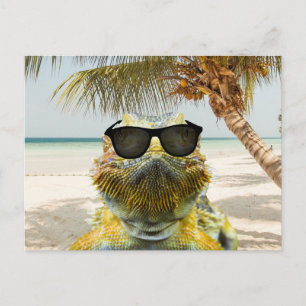 Sommaren kommer vykort