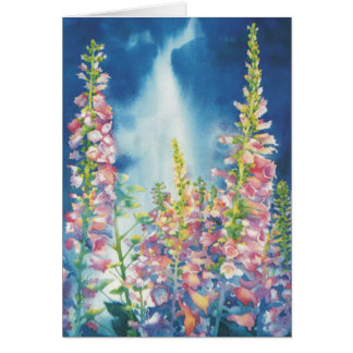 Sommaren regnar hälsningskort