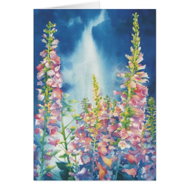 Sommaren regnar hälsningskort (Framsidan)