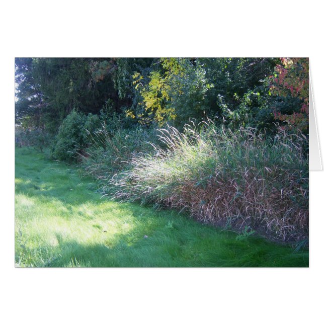 Sommaren tänder kortet hälsningskort (Framsidan Horizontal)