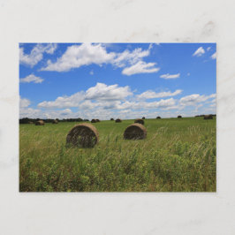 Sommarens balar vykort