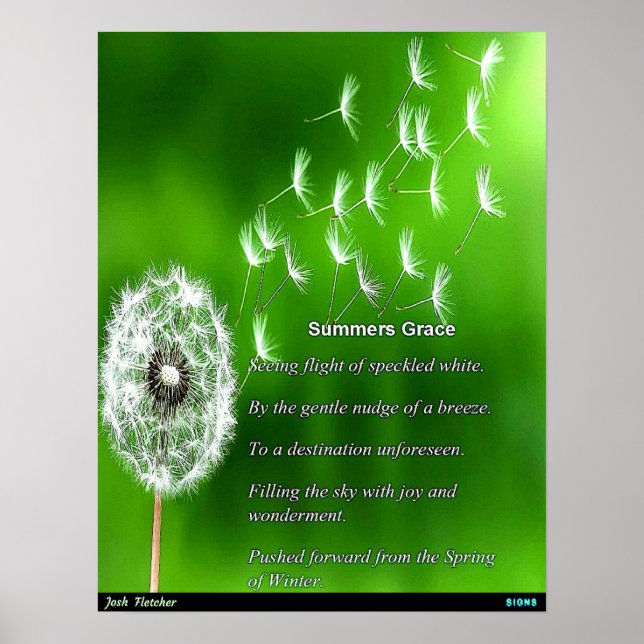 Sommarens nåd poster (Framsidan)