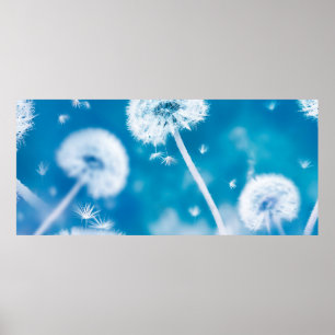 Sommarens naturliga blommigt. Vita dandelimer Poster